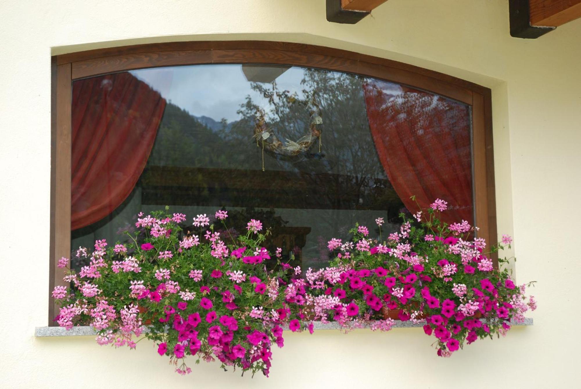 Residence Les Nigritelles Cogne Dış mekan fotoğraf